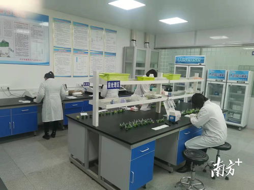 守護(hù)“菜籃子”安全，助力放心消費(fèi)——興寧市場(chǎng)監(jiān)管局食用農(nóng)產(chǎn)品快檢中心正式啟用